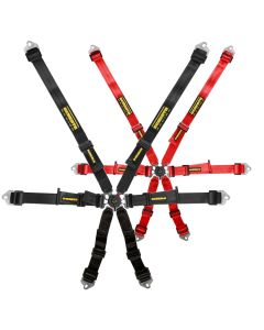 Bälte Schroth Flexi 2x2 HANS 6p FIA