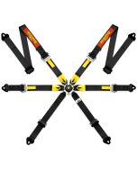 Bälte MOMO Pro Racing 6p HANS FIA